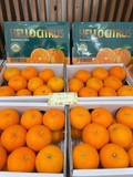 Quýt Tấm Nhập Khẩu Hộp 1.8kg – Ngọt Mát, Dễ Bóc, Ăn Mỗi Ngày Cực Đã