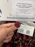Cherry New Zealand Penguin size 26–28 (thùng 5kg) – Trái to đều, ngọt đậm, giòn mọng cao cấp