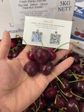 Cherry New Zealand Penguin size 26–28 (thùng 5kg) – Trái to đều, ngọt đậm, giòn mọng cao cấp
