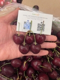 Cherry Chile San Francisco size 1J xách 2.5kg –  vị ngọt đậm, thịt chắc