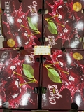 Cherry chile 2JD - Good
