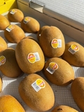 Kiwi NĐT thùng 2.3kg – Mềm ngọt tự nhiên, chua thanh dễ ăn