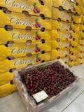 Cherry Chile XLD Queen Regina – Trái đại size, giòn ngọt sang trọng