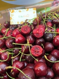 Cherry Chile XLD Queen Regina – Trái đại size, giòn ngọt sang trọng