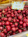 CHERRY CHILE SIZE 1J PRUNES (THÙNG 2.5KG) – GIÒN NGỌT TỰ NHIÊN, TRÁI ĐỀU ĐẸP