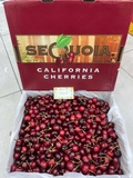 Cherry Mỹ Sequoia S10 (Lô đầu mùa) – Trái To Giòn Ngọt, Hàng Cực Tươi