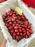 NHO ĐỎ NỮ HOÀNG NINA