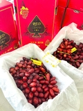 NHO ĐỎ NỮ HOÀNG NINA