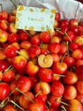 Cherry Vàng Mỹ S10 PridePack – Siêu Phẩm Giòn Ngọt, Hiếm Mỗi Mùa
