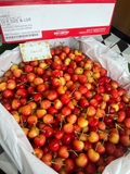 Cherry Vàng Mỹ S10 PridePack – Siêu Phẩm Giòn Ngọt, Hiếm Mỗi Mùa