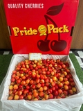 Cherry Vàng Mỹ S10 PridePack – Siêu Phẩm Giòn Ngọt, Hiếm Mỗi Mùa