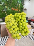 NHO MẪU ĐƠN SHINE MUSCAT