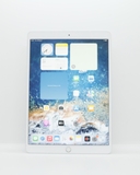 iPad Pro 10.5 inch 64GB Silver(Xước)