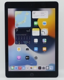 iPad Pro 9.7 inch 32GB Gray
