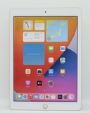 iPad Pro 9.7 inch 128GB Gold