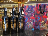 Rượu vang Don Anto Primitivo 18° Limited Edition Ý GIÁ TỐT NHẤT THỊ TRƯỜNG