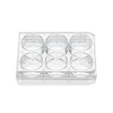 6-well cell culture plate, poly-D-lysine coated surface