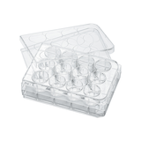 12-well cell culture plate, poly-D-lysine coated surface