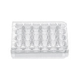 Cell culture plate (without TC treatment)