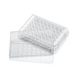 48-well cell culture plate