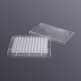 (11568) 96-well V-bottom cell culture plate