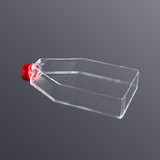 Cell culture flask (breathable cap, not treated with TC)