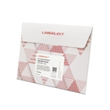 PVDF transfer film (7.4cmX8.5cm)