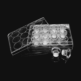 Đường kính 12mm cho đĩa 12 giếng, 1.0μm (12mm Diameter for 12 well plate, 1.0μm), Thương hiệu: Labselect