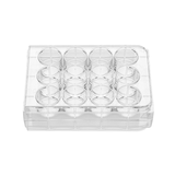 12-well cell culture plate