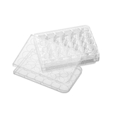 24-well cell culture plate