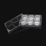(14161) Cell culture chamber, including 6-well plate
