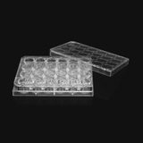 Cell invasion chamber, containing 24-well plate