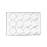 12-well cell culture plate, poly-D-lysine coated surface