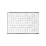 96-well cell culture plate, poly-D-lysine coated surface