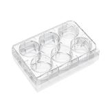 6-well cell culture plate, poly-D-lysine coated surface