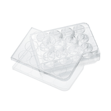 12-well cell culture plate, poly-D-lysine coated surface