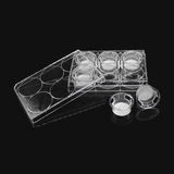 (14131) Cell culture chamber, including 6-well plate