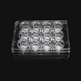 (14231-D) Cell culture chamber, individually packaged