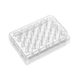 24-well cell culture plate, poly-D-lysine coated surface