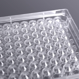 (11568) 96-well V-bottom cell culture plate