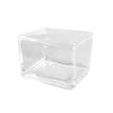 Bình nhuộm lam kính, 20 vị trí 25x75mm, hãng Biosharp
