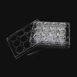 Cell Invasion Chamber, Model: 14248, Thương hiệu: Labselect