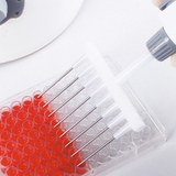 Bộ hút mẫu chân không phòng thí nghiệm bình 2 lít ​​​​​​​(Vacuum Aspiration System)