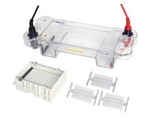 L-HET-7MN Mini Horizontal Electrophoresis Cell, Thương hiệu: Labgic