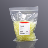 Đầu côn (Micro tips)