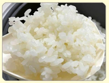 Gạo Nhật - Gạo Japonica