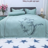 BỘ CHĂN GA (TENCEL) 203ET20