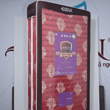 ĐỆM ESEUN NANO GẤM MẪU EG01