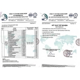 100 Túi Bọc Trái Cây Bưởi, Ổi, Xoài, Na thương hiệu Ánh Dương, dùng 3-4 mùa (có nút cài) - Người Làm Vườn