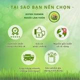 100 Túi Bọc Trái Cây Ổi, Bưởi, Xoài, Na... Nhiều Kích Thước Dùng 3-5 Mùa, Nhiều thương Hiệu - NGUOILAMVUON